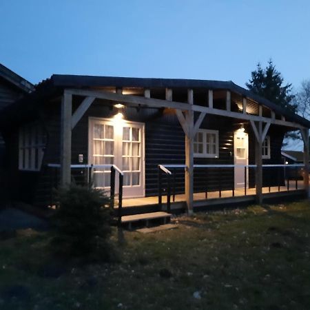 Chalet Het Wollinghuisje Vlagtwedde Dış mekan fotoğraf