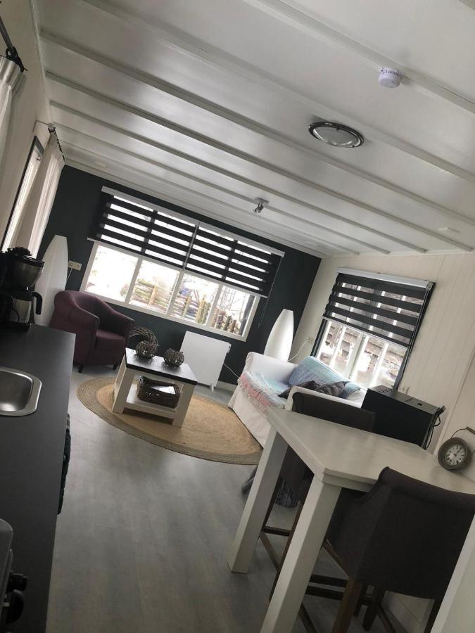 Chalet Het Wollinghuisje Vlagtwedde Dış mekan fotoğraf