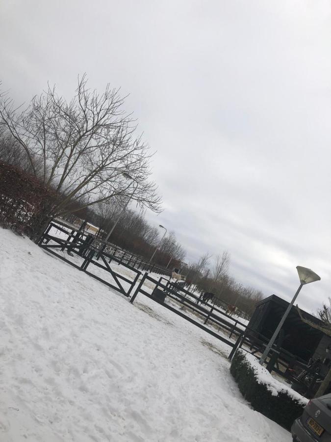 Chalet Het Wollinghuisje Vlagtwedde Dış mekan fotoğraf